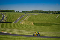Advanced Group Yellow Bikes